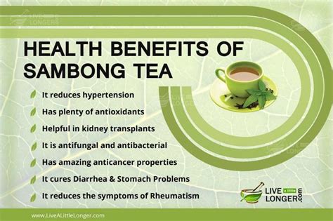 sambong benefits|sambong tea where to buy.